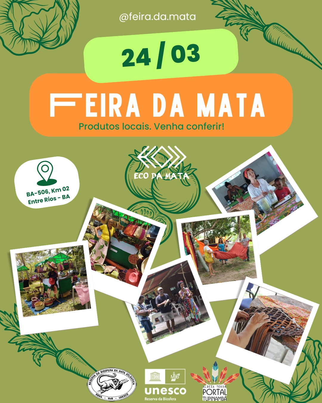 Feira da Mata: Um Oásis de Aprendizado, Diversidade e Cultura da Paz