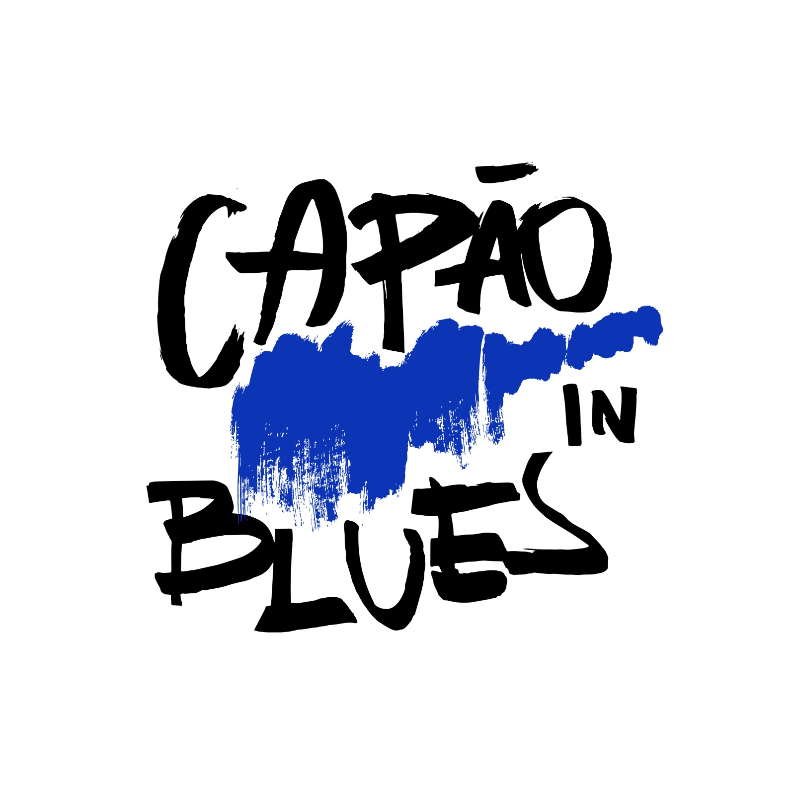 CIB – CAPÃO IN BLUES DIVULGA PROGRAMAÇÃO MUSICAL
