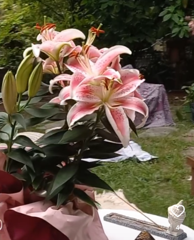 Mangará Reserva Ecológica/Pousada Terapêutica