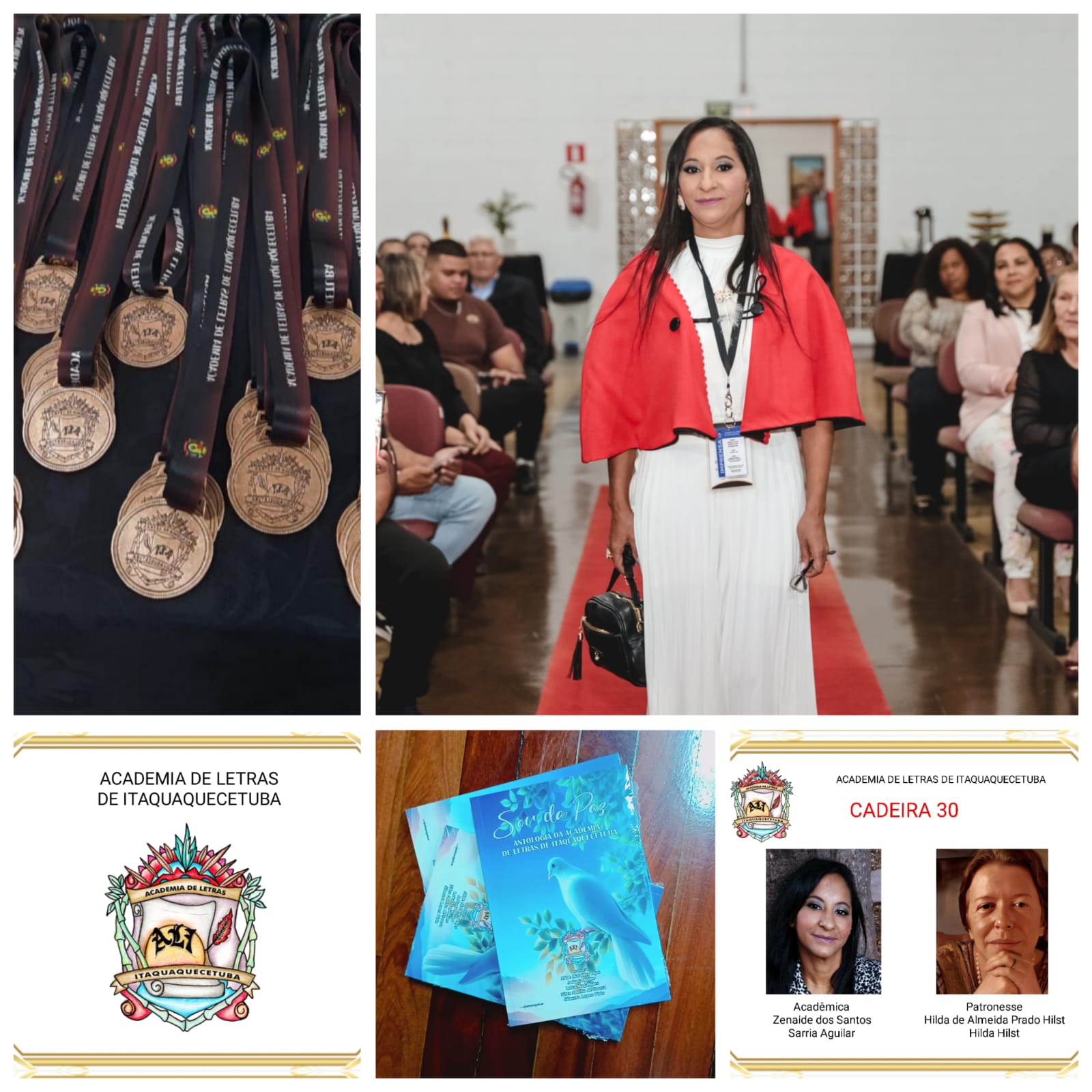 Zenaide Dos Santos SA: Acadêmica Imortal da ALI