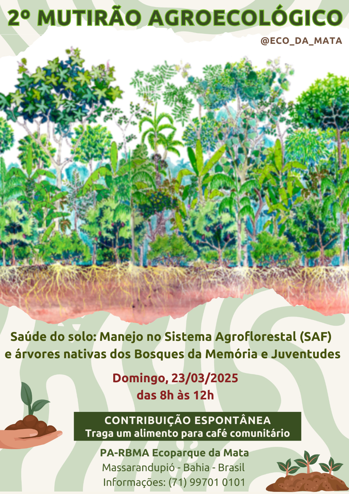 2° Mutirão Agroecológico da Mata será esse domingo!