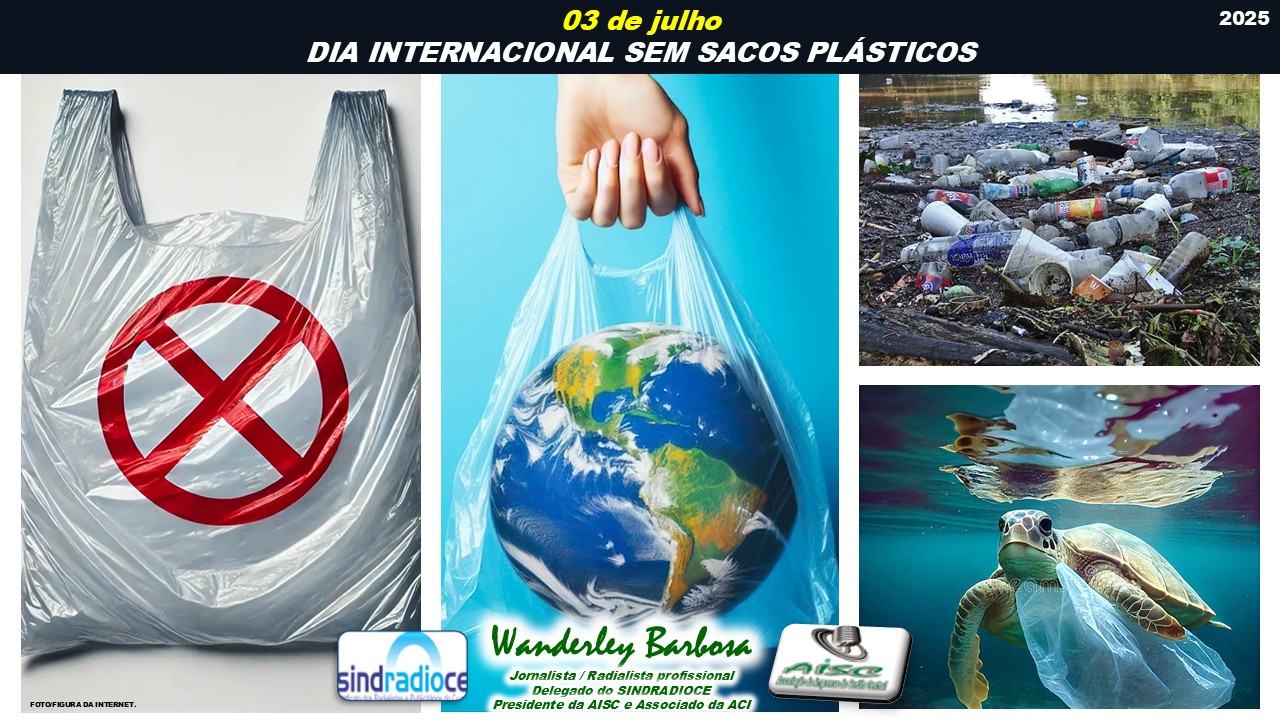 Dia Internacional Sem Sacolas Plásticas (3 de Julho)