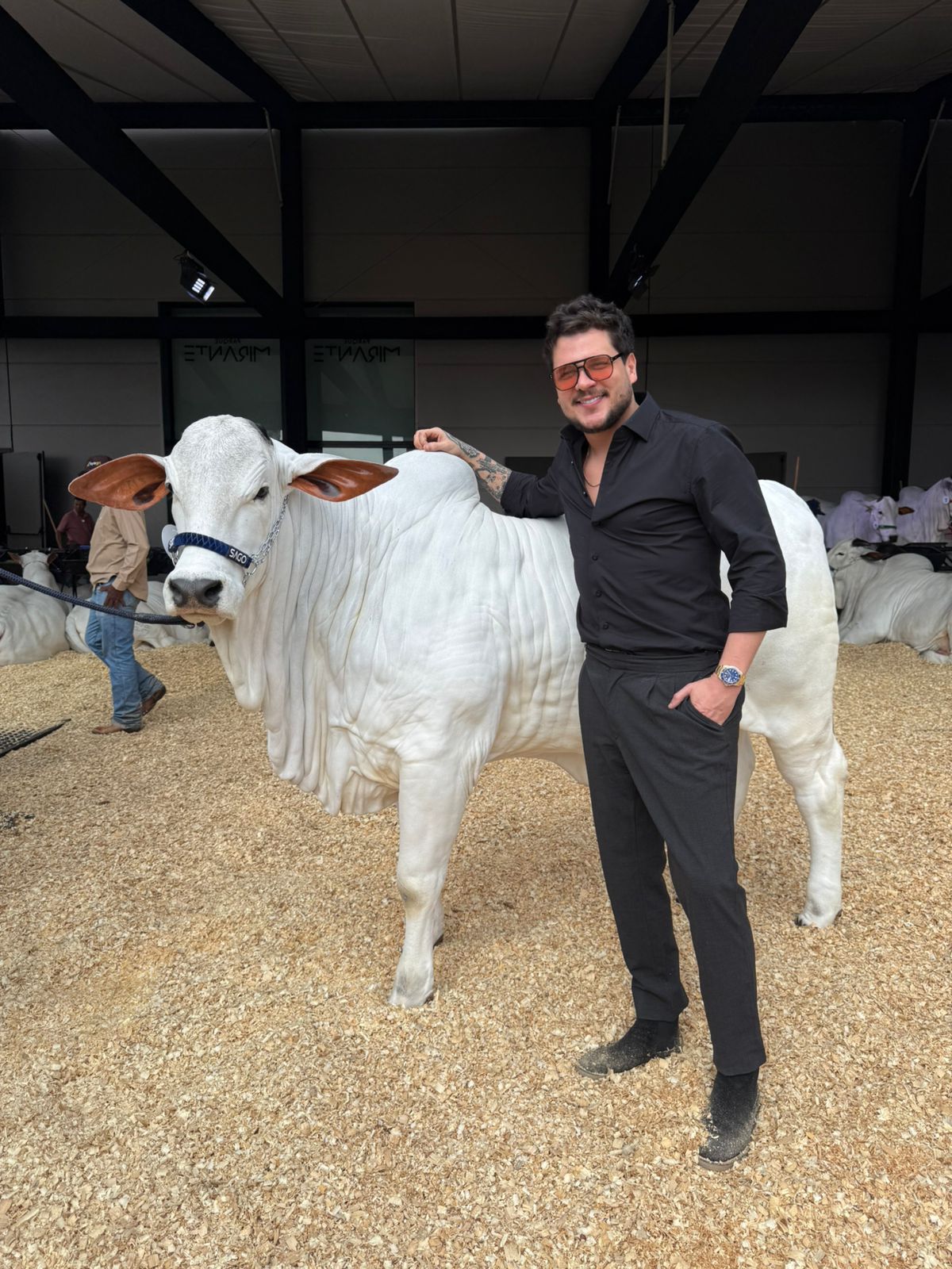 Fabricio, da dupla Fred & Fabricio, acaba de arrematar sua primeira vaca Nelore de Elite