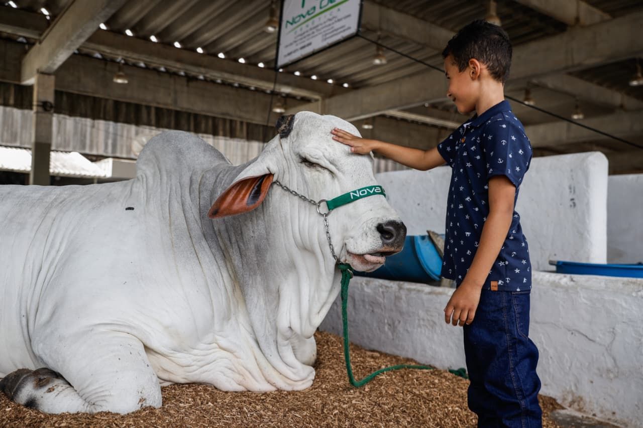 Fenagro 2025 inicia sua 34ª edição com novidades, experiências imersivas e programação para toda a família