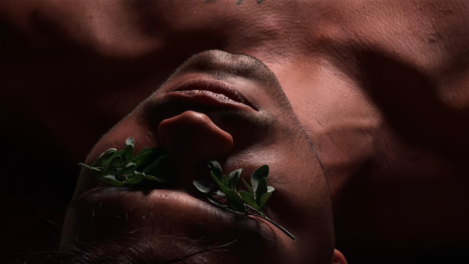 Sala de Cinema Walter da Silveira recebe estreia do filme ‘Arruda’ promovido pela Escola Viva de Audiovisual