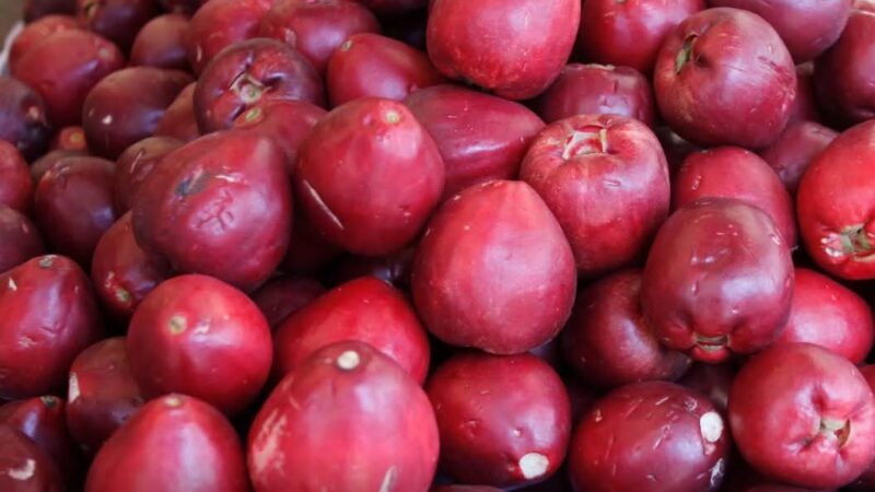 Pouca gente sabe, mas o jambo é uma fruta com benefícios reais para a saúde do coração