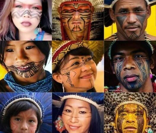 7 de fevereiro é o Dia Nacional de Luta dos Povos Indígenas